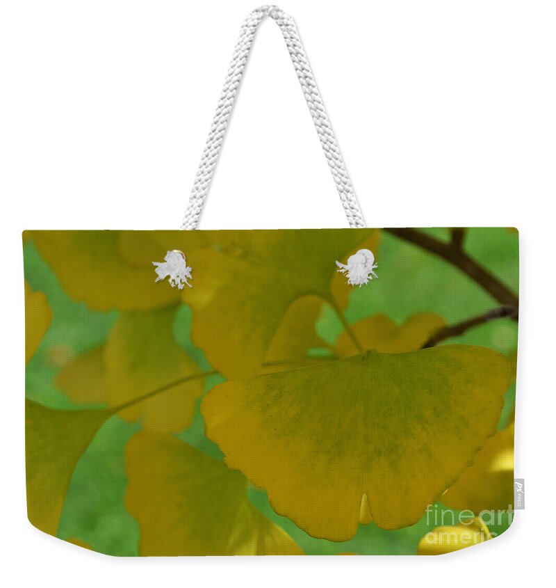 Ginkgo Leaves Weekender Tote Bag featuring the photograph Ginkgo Leaves Abstract by Amy Lucid
