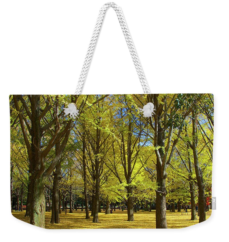 Ginkgo Tree Weekender Tote Bag featuring the photograph Ginko Forest by Photograph By Paul Atkinson