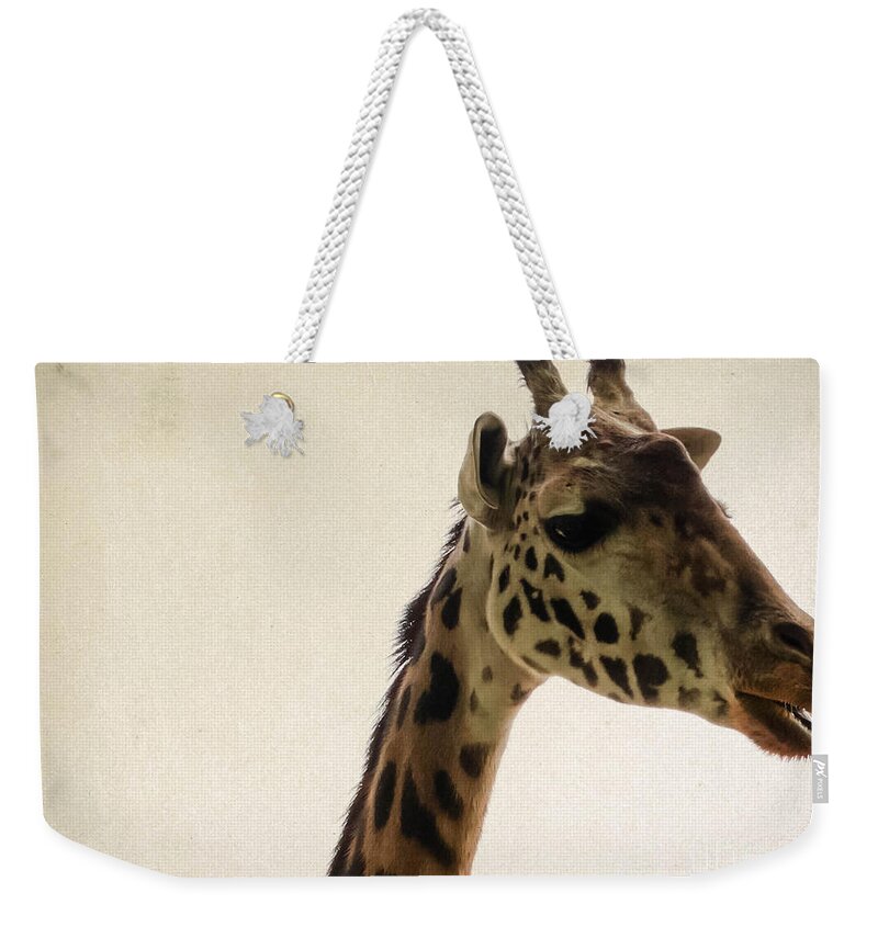 Wildlife Weekender Tote Bag featuring the photograph Giraffe 2 by Andrea Anderegg