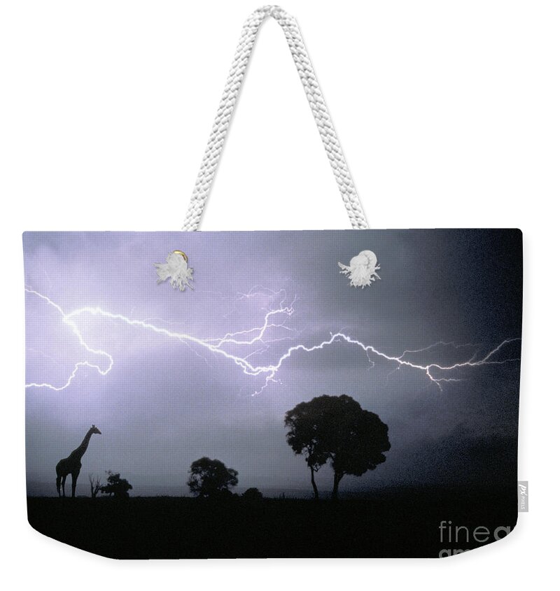 Animal Weekender Tote Bag featuring the photograph Giraffe And Lightning by Mark Newman
