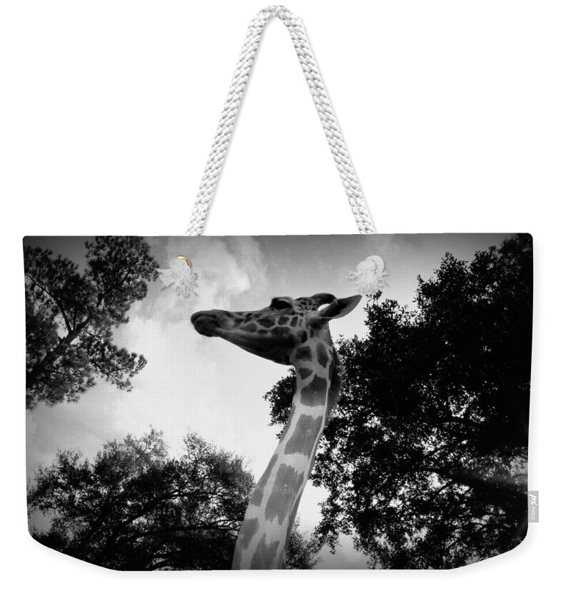 Giraffe Weekender Tote Bag featuring the photograph Giraffe bw - Global Wildlife Center by Beth Vincent
