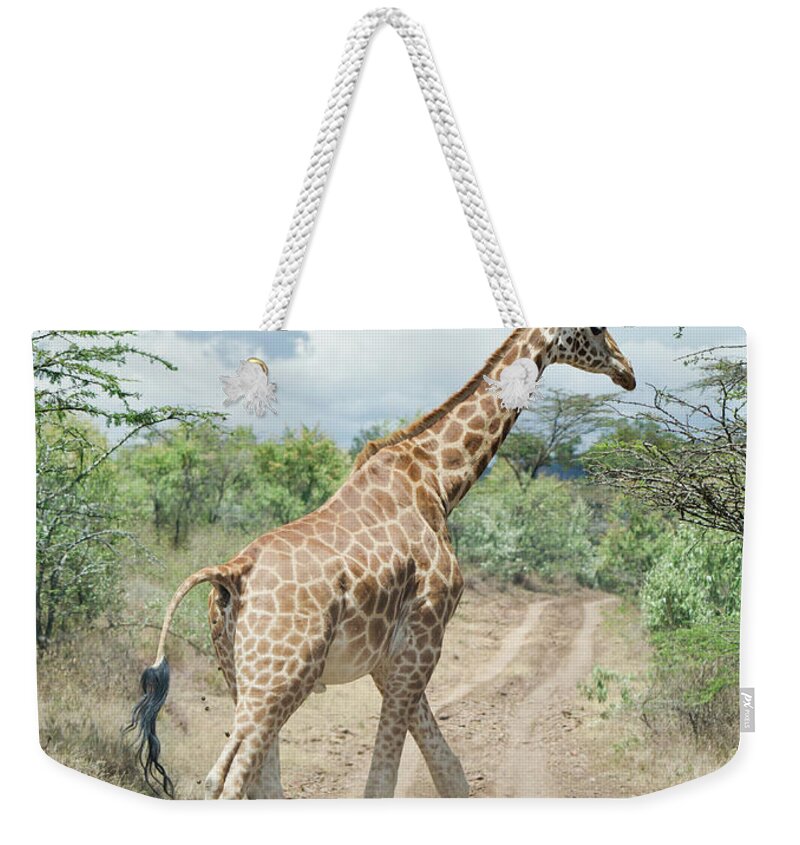Shadow Weekender Tote Bag featuring the photograph Giraffe Crossing Road In Masai Mara by Mehmed Zelkovic