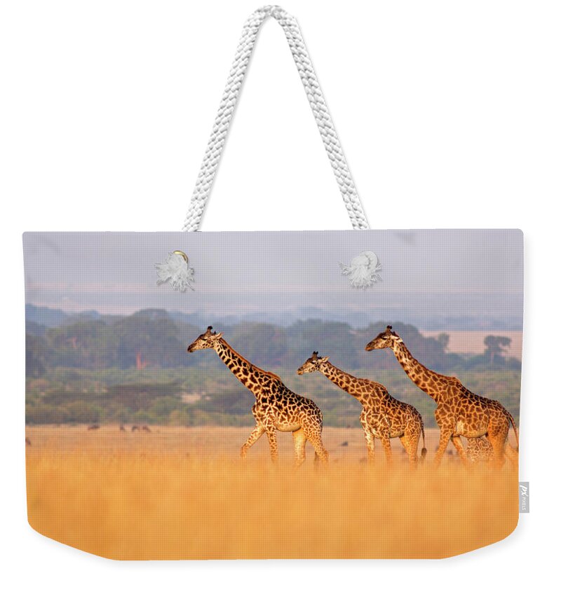 Giraffe Weekender Bag