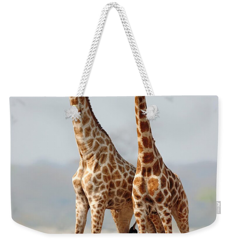 Giraffes Weekender Tote Bag featuring the photograph Giraffes standing together by Johan Swanepoel