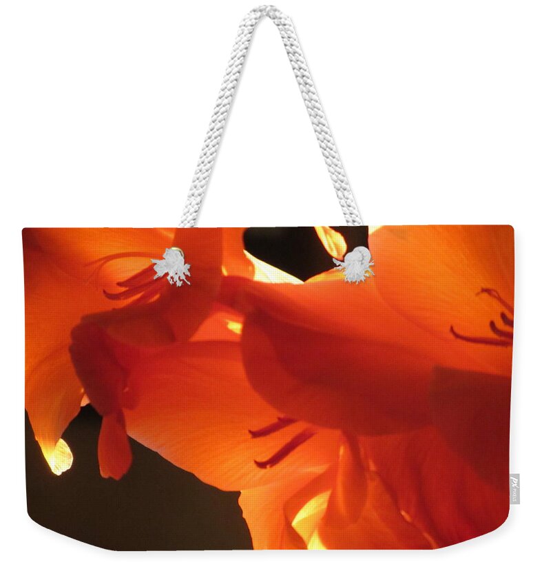Flower Weekender Tote Bag featuring the photograph Gladiola Close Up 3 by Anita Burgermeister