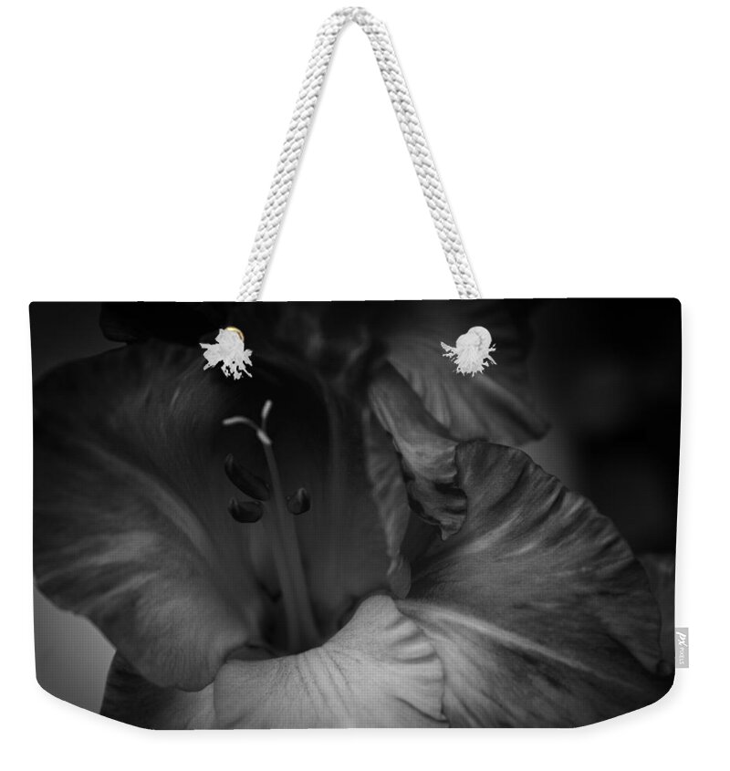 Flower Photography Weekender Tote Bag featuring the photograph Gladiolus Morning by Ben Shields