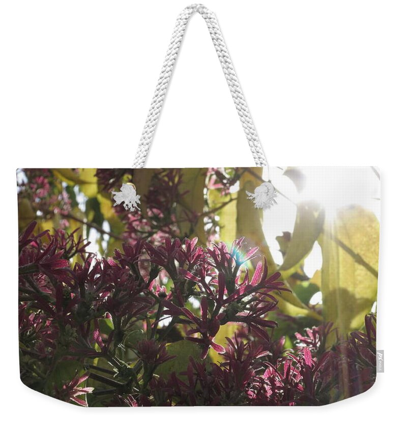Sun Weekender Tote Bag featuring the photograph Gleam by Jessica Myscofski