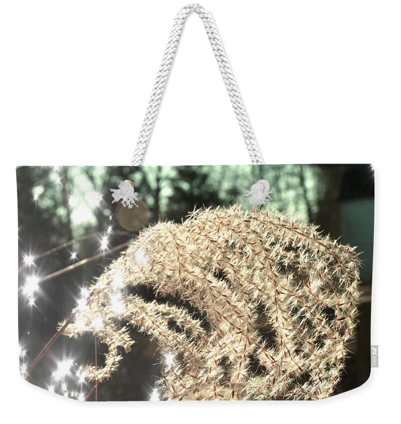 Glistening Seed Head Weekender Tote Bag featuring the photograph Glistening Grass by Stacie Siemsen