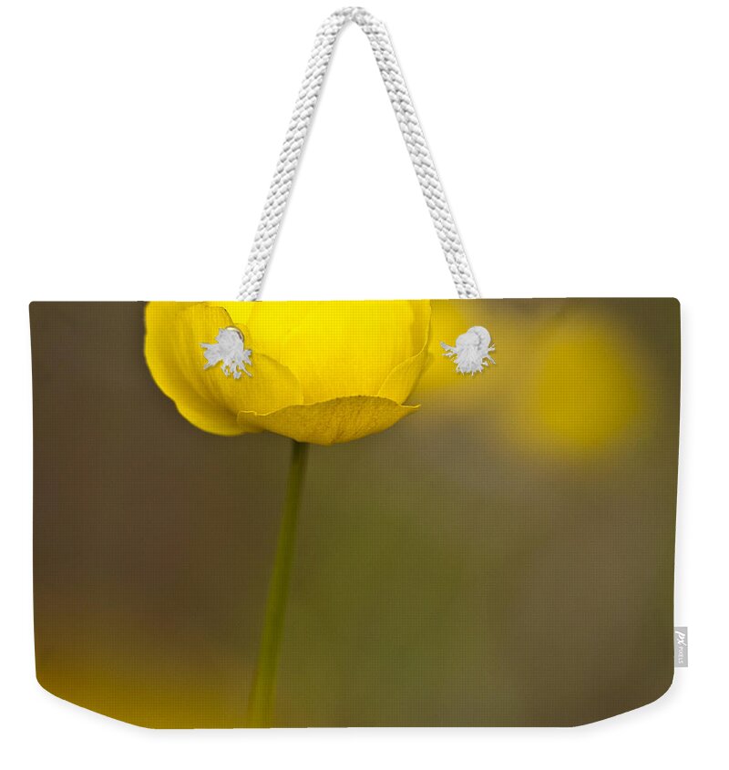 Ranunculaceae Weekender Tote Bag featuring the photograph Globe Flower by Heiko Koehrer-Wagner