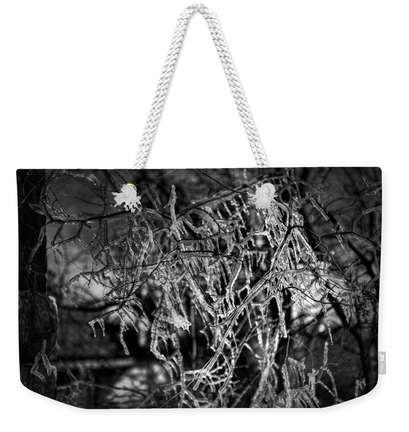 Adams Weekender Tote Bag featuring the photograph Gloomy Icy Tree by Brett Engle