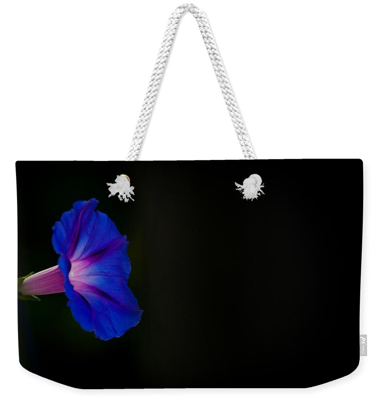 Morning Glory Weekender Tote Bag featuring the photograph Glorious Simplicity by Cheryl Baxter