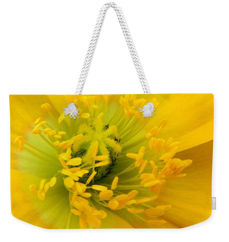 Flower Weekender Tote Bag featuring the photograph Glory of Nature by Deb Halloran