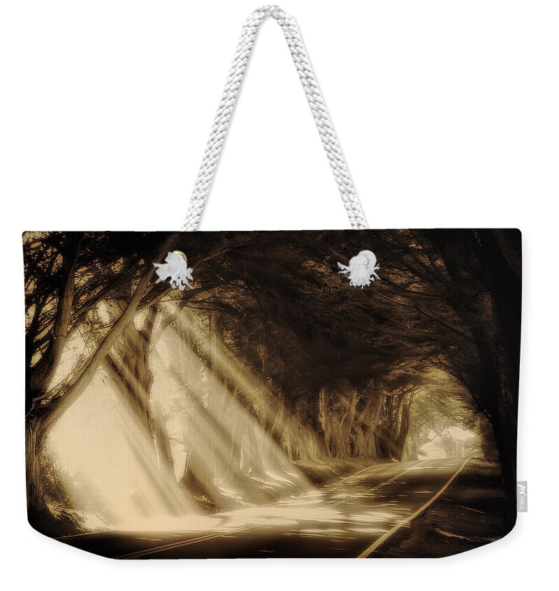 Sun Rays Weekender Tote Bag featuring the photograph Glory Rays by Priscilla Burgers