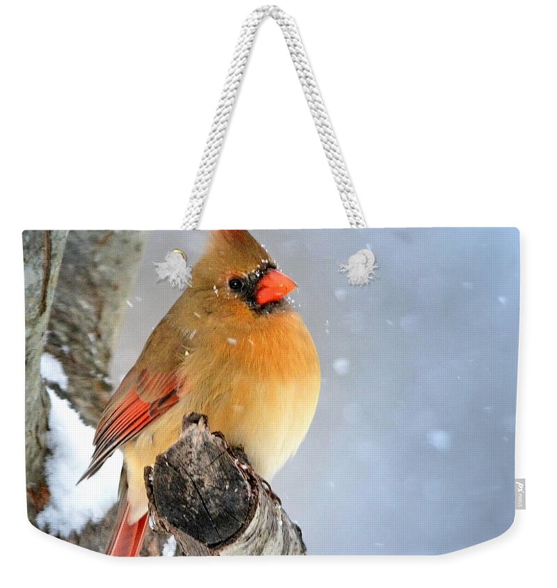 Nature Weekender Tote Bag featuring the photograph Glowing In The Snow by Nava Thompson