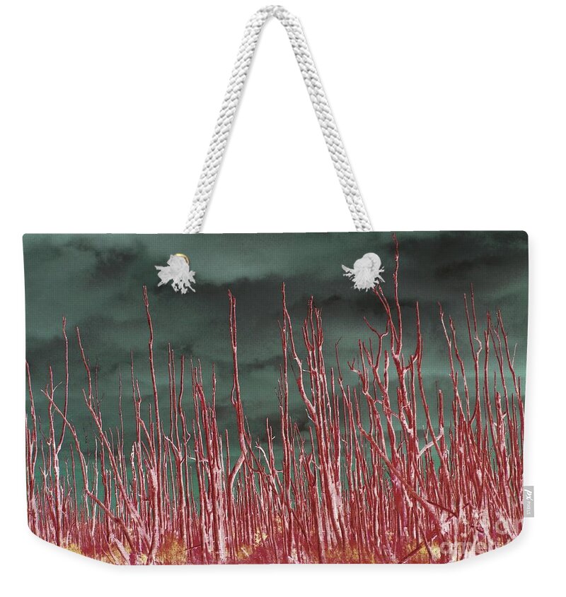 Trees Weekender Tote Bag featuring the photograph Glowing Trees 2 by Anthony Wilkening