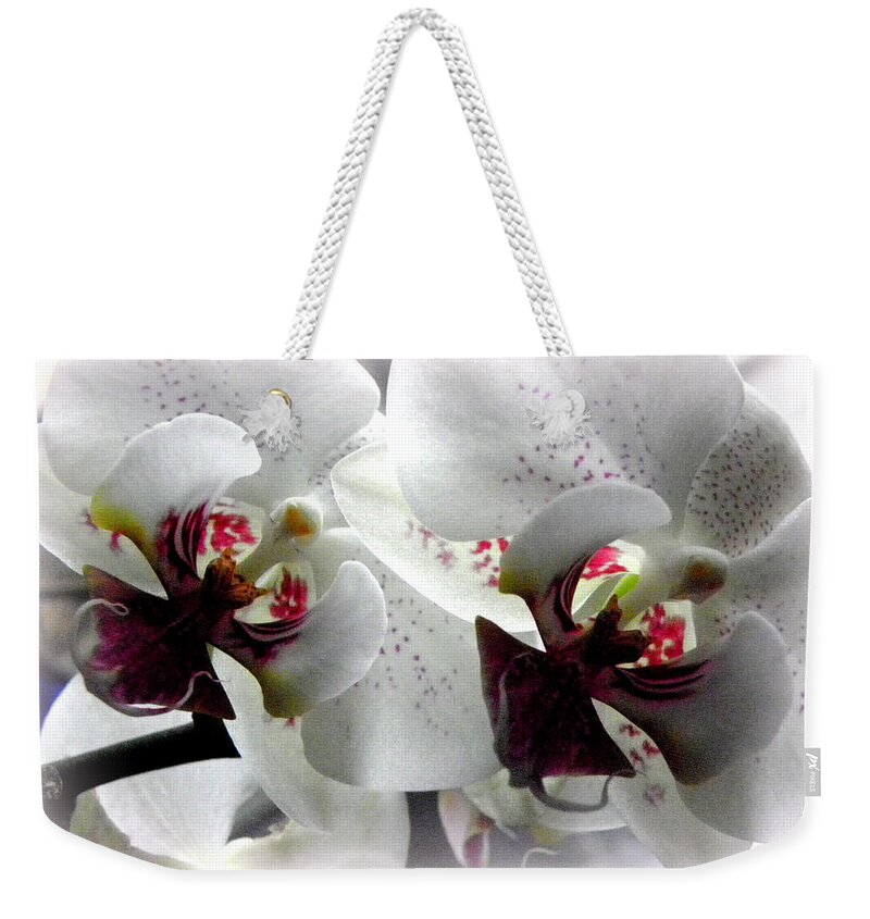 White Orchid Weekender Tote Bag featuring the photograph Glowing White Orchids by Kim Galluzzo