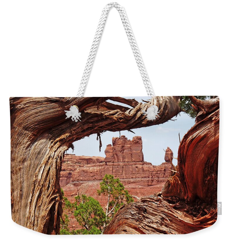 Gnarly Weekender Tote Bag featuring the photograph Gnarly Tree by Alan Socolik