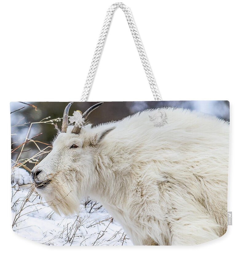 Mountain Goat Weekender Tote Bag featuring the photograph Goat On The Mountain by Yeates Photography