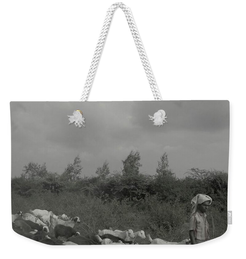 Goats Weekender Tote Bag featuring the photograph Goatherd's Delight by Mini Arora
