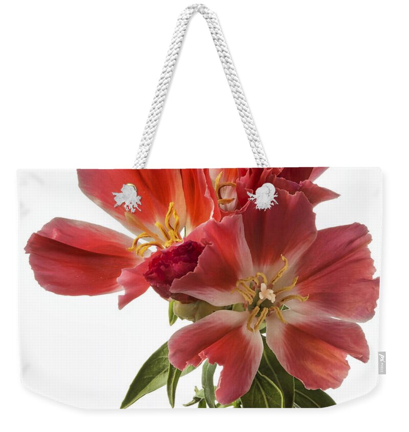 Flower Weekender Tote Bag featuring the photograph Godacia by Endre Balogh