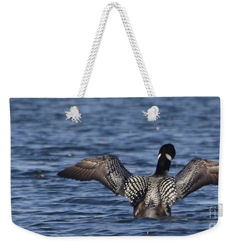 Loon Weekender Tote Bag featuring the photograph Goin' Looney by Vivian Martin