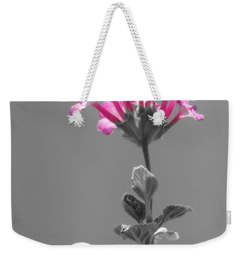 Flower Weekender Tote Bag featuring the photograph Golda by Robert ONeil