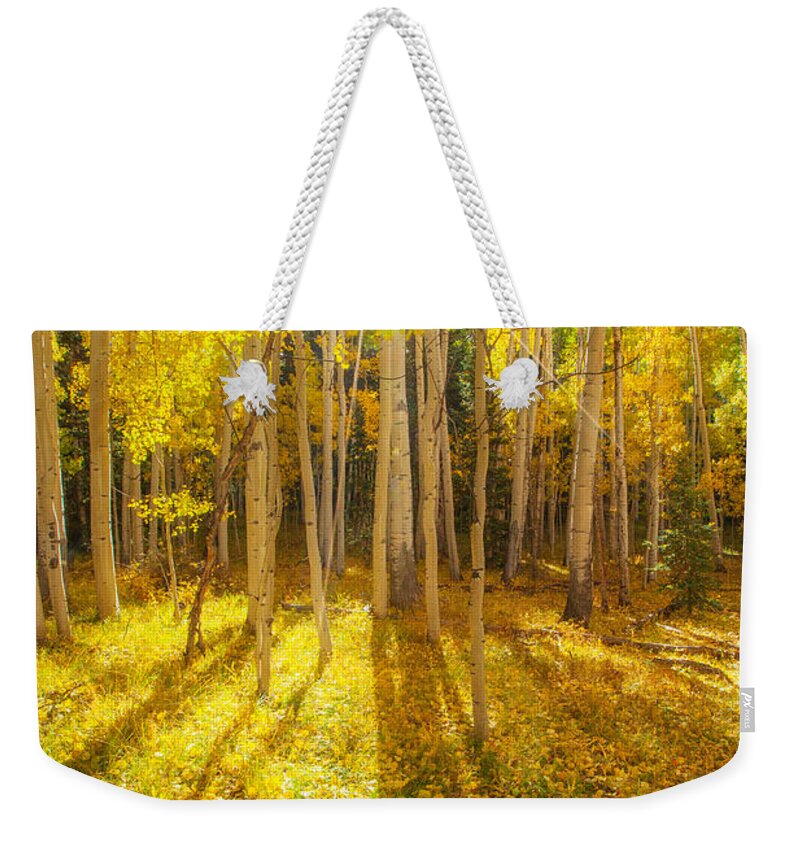Aspens Weekender Tote Bag featuring the photograph Golden by Darren White