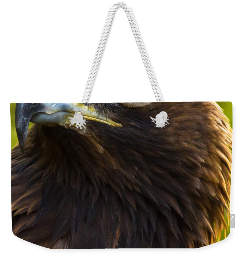 Golden Eagle Weekender Tote Bag featuring the photograph Golden Eagle by Robert L Jackson