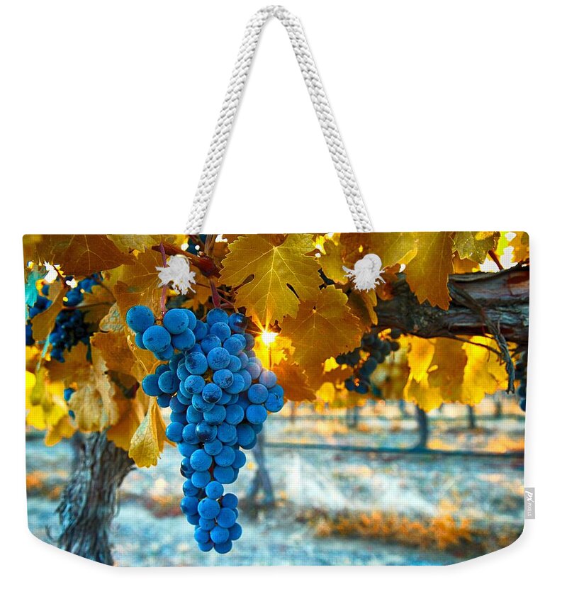  Weekender Tote Bag featuring the photograph Golden leaves with grapes by Lynn Hopwood