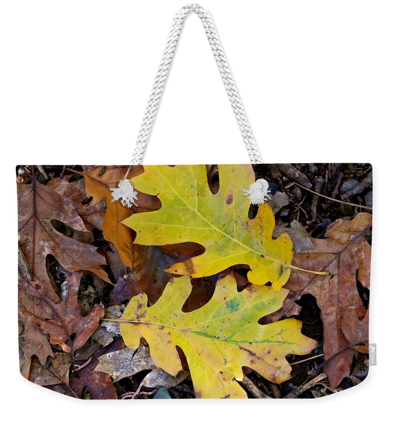California Black Oak Weekender Tote Bag featuring the photograph Golden Oak Leaf Duet by Michele Myers