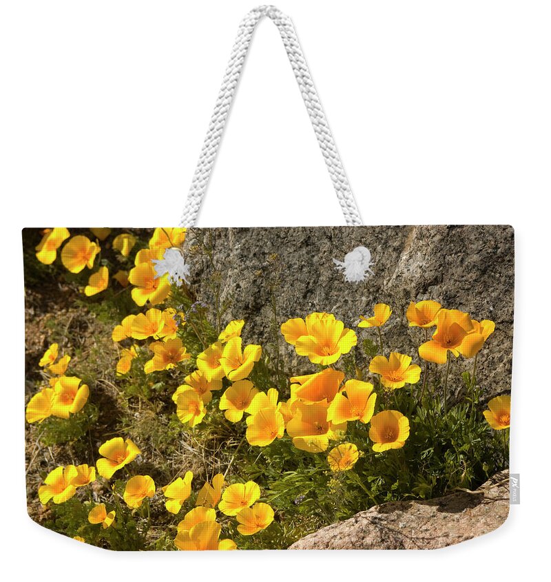 Chihuahua Desert Weekender Tote Bag featuring the photograph Golden Poppies Among Rocks by Elflacodelnorte