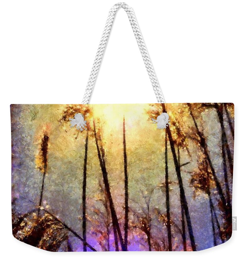 Sea Oats Weekender Tote Bag featuring the photograph Golden Sun Rays on Beach Grass by Janine Riley