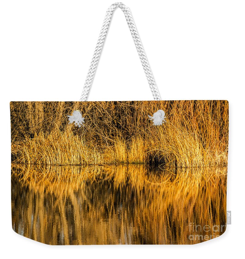 Abstract Weekender Tote Bag featuring the photograph Golden Reflections by Sue Smith