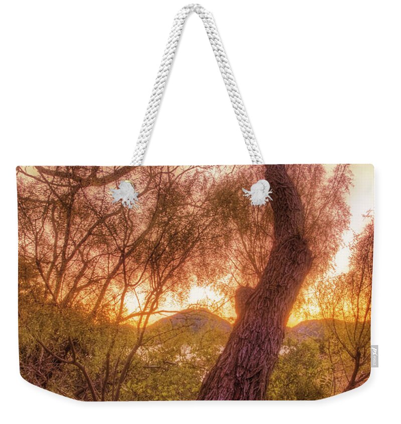 Tree Weekender Tote Bag featuring the photograph Golden Tree at the Quartz Mountains - Oklahoma by Jason Politte
