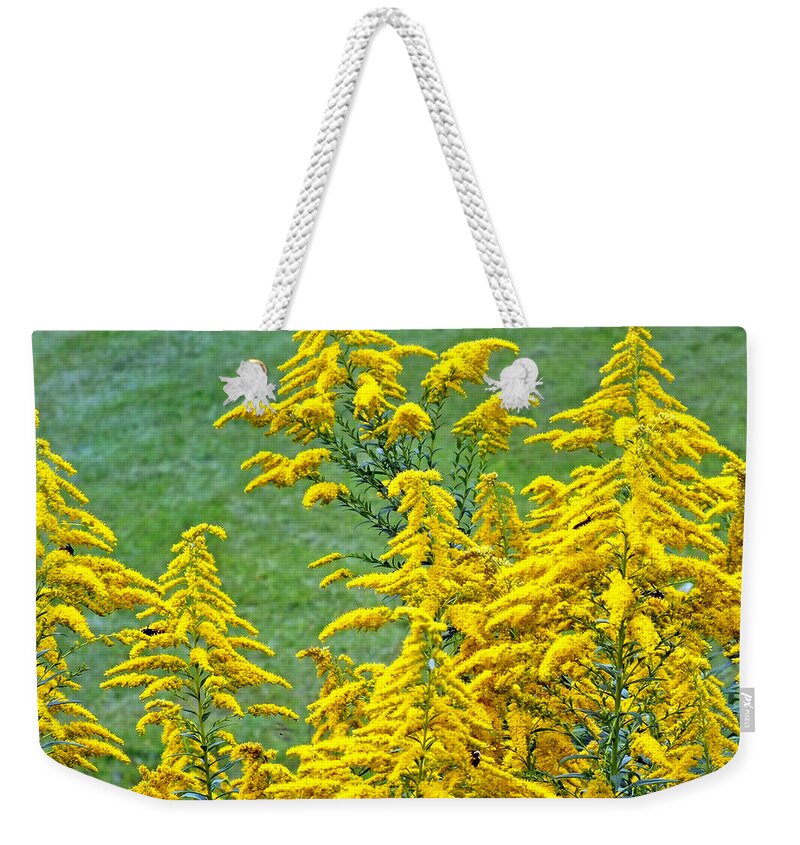 Duane Mccullough Weekender Tote Bag featuring the photograph Goldenrod Flowers by Duane McCullough