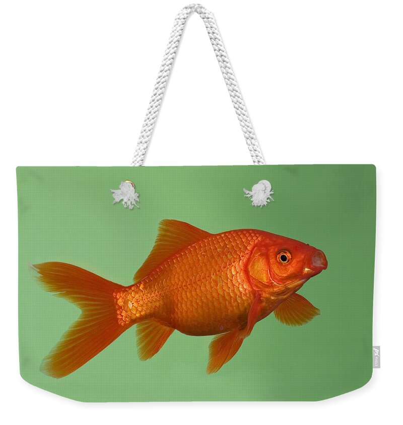 Goldfish In Aquarium Weekender Tote Bag by Konrad Wothe - Animals and Earth  - Website