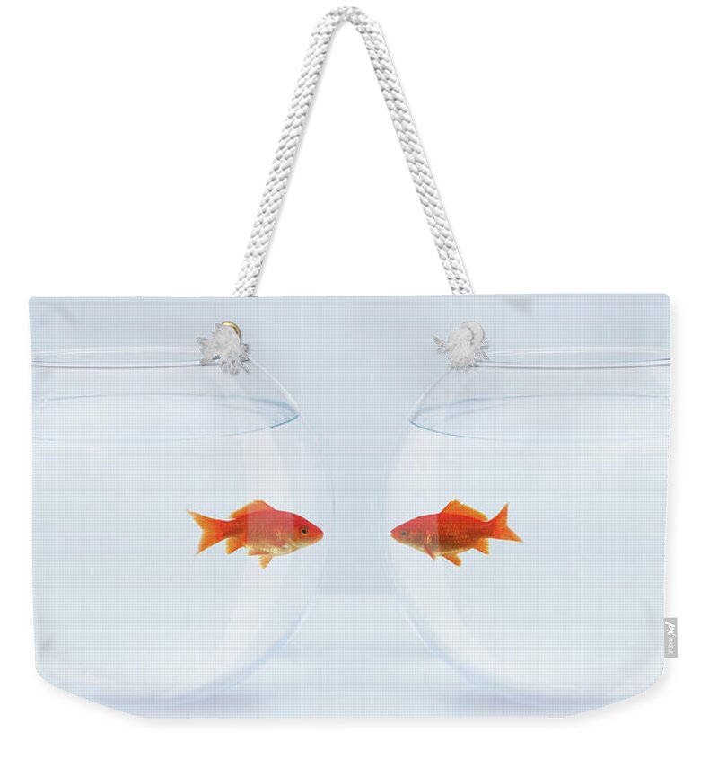 Pets Weekender Tote Bag featuring the photograph Goldfish In Separate Fishbowls Looking by Adam Gault