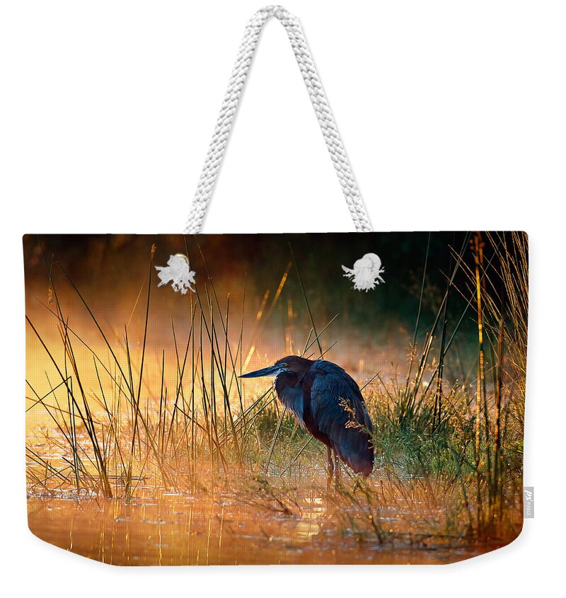 Heron Weekender Tote Bag featuring the photograph Goliath heron with sunrise over misty river by Johan Swanepoel