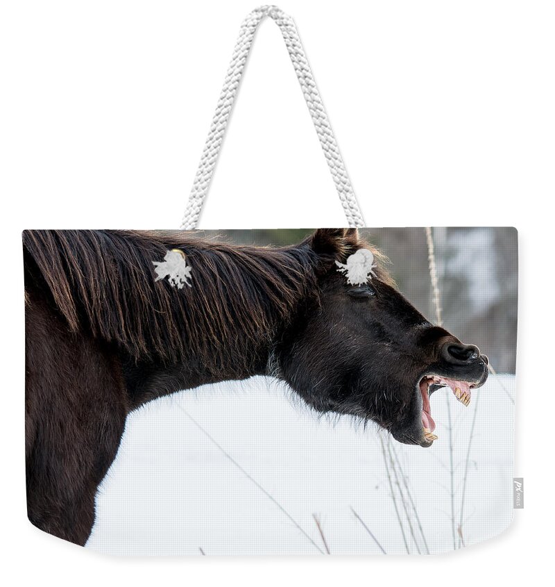 Mouth Weekender Tote Bag featuring the photograph Good Laugh by Cheryl Baxter
