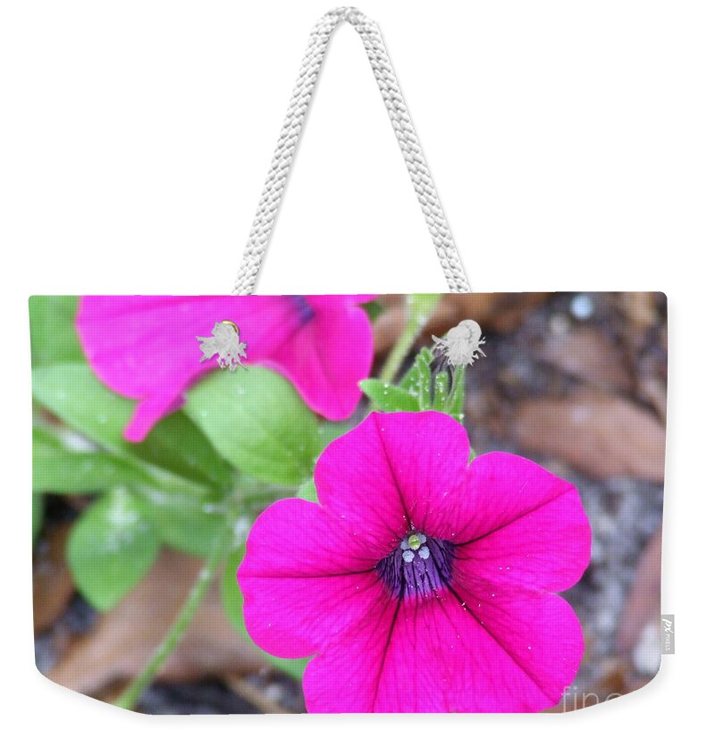 Pink Weekender Tote Bag featuring the photograph Good morning by Andrea Anderegg