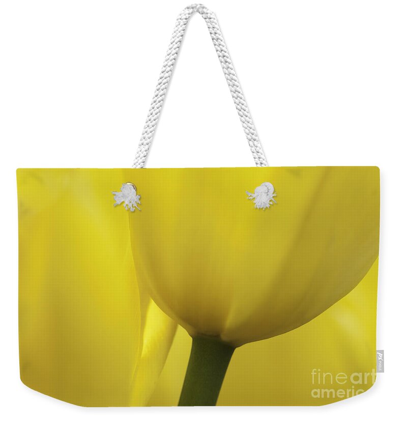 Tulip Weekender Tote Bag featuring the photograph Good Morning Sunshine by Patty Colabuono