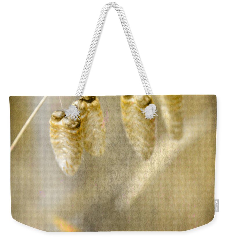 Grasses Weekender Tote Bag featuring the photograph Good to be alone by Chris Armytage