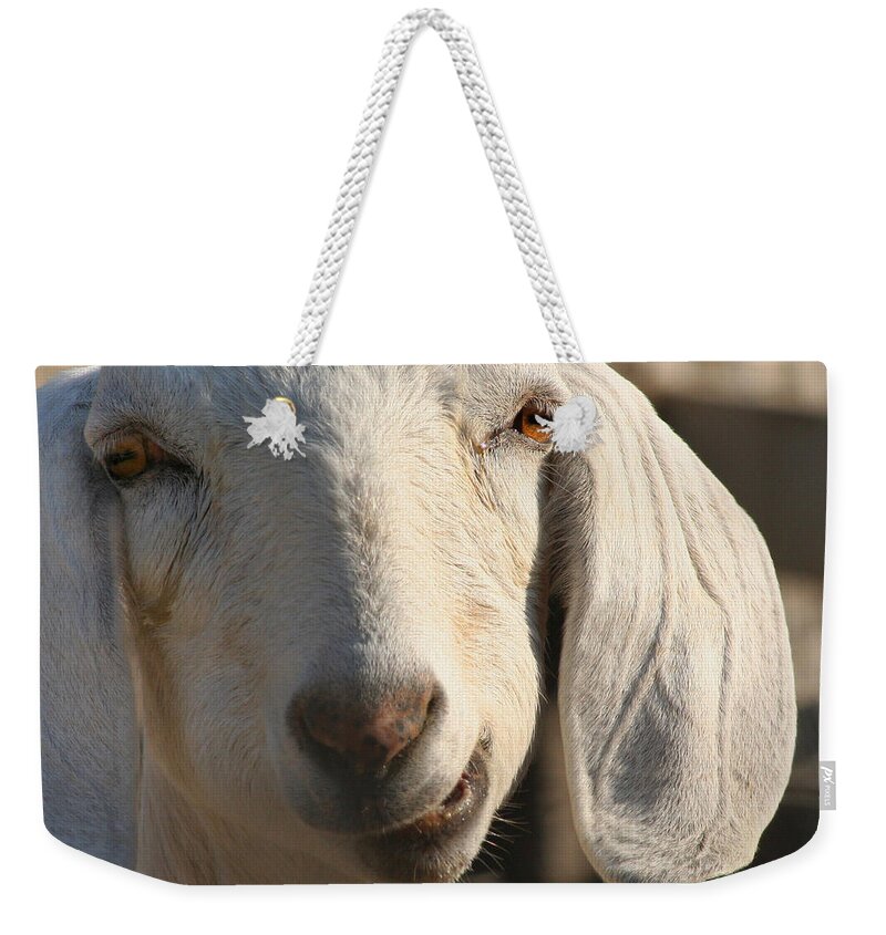 Goat Weekender Tote Bag featuring the photograph Goofy Goat by Art Block Collections