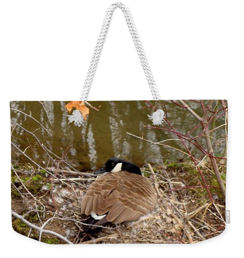 Goose Weekender Tote Bag featuring the photograph Goose by Anthony Seeker