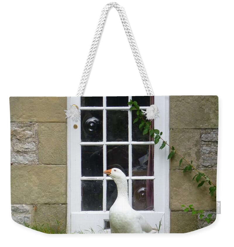 Goose Weekender Tote Bag featuring the photograph Goose at the Door by Asa Jones