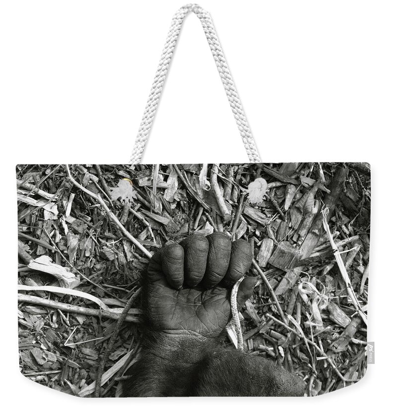 Alberta Weekender Tote Bag featuring the photograph Gorilla Hand by Roderick Bley