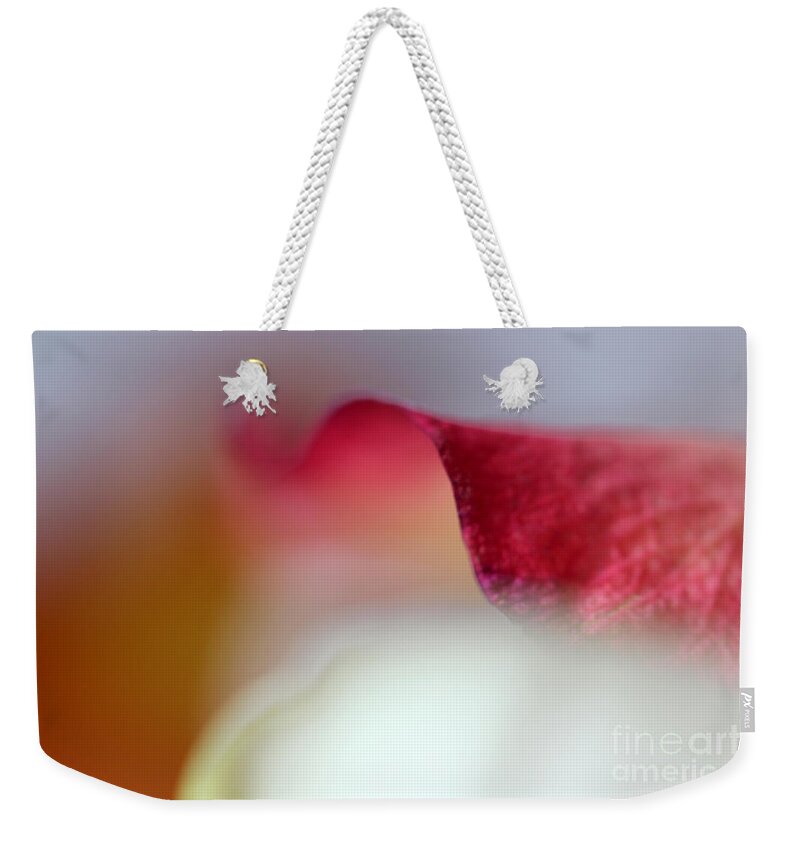 Rose Weekender Tote Bag featuring the photograph Grace by Stacey Zimmerman
