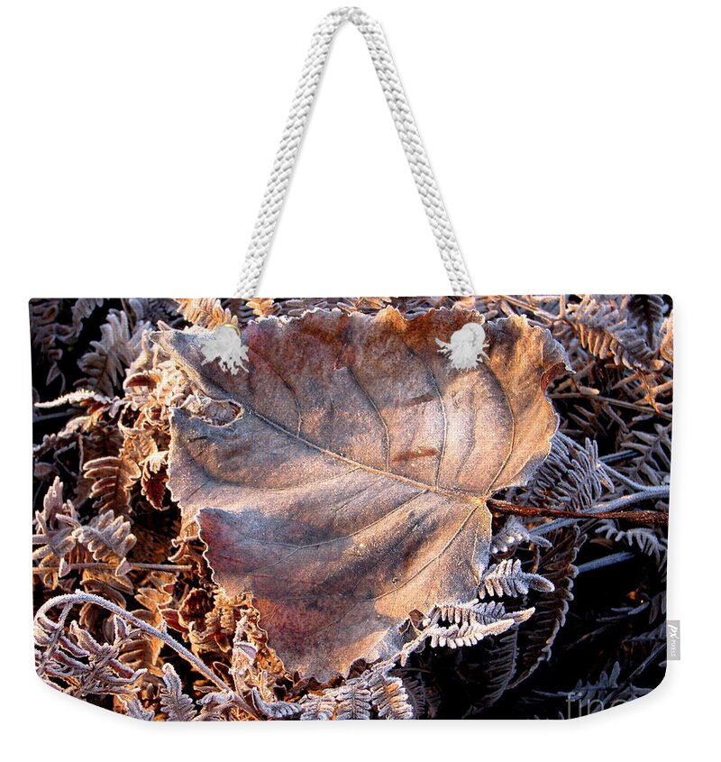 Fall Weekender Tote Bag featuring the photograph Graced By Frost by Rory Siegel