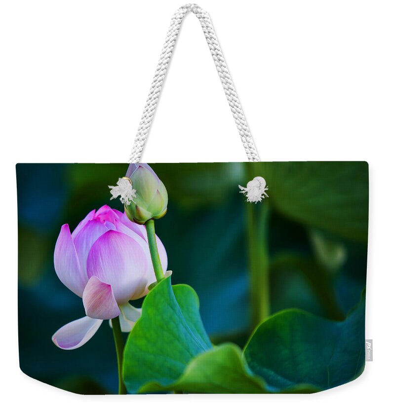 Jenny Rainbow Fine Art Photography Weekender Tote Bag featuring the photograph Graceful Lotus. Pamplemousses Botanical Garden. Mauritius by Jenny Rainbow