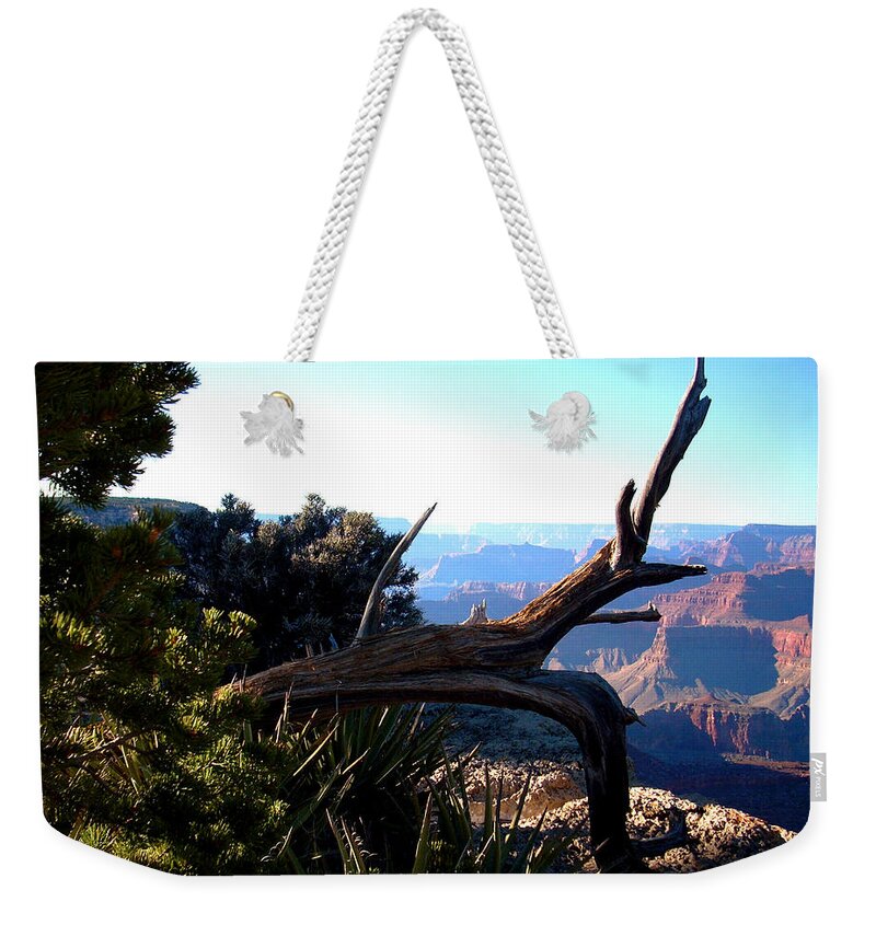 Tree Weekender Tote Bag featuring the photograph Grand Canyon Dead Tree by Matt Quest